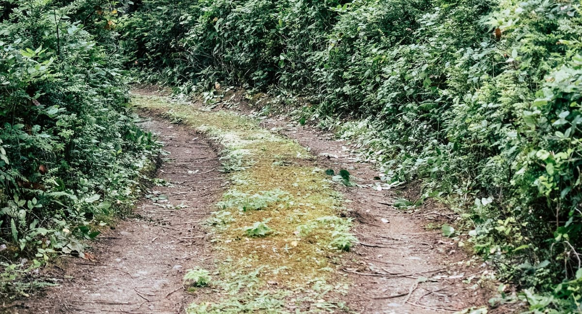 Camp 30 Trail Closed Due to Unsafe Conditions