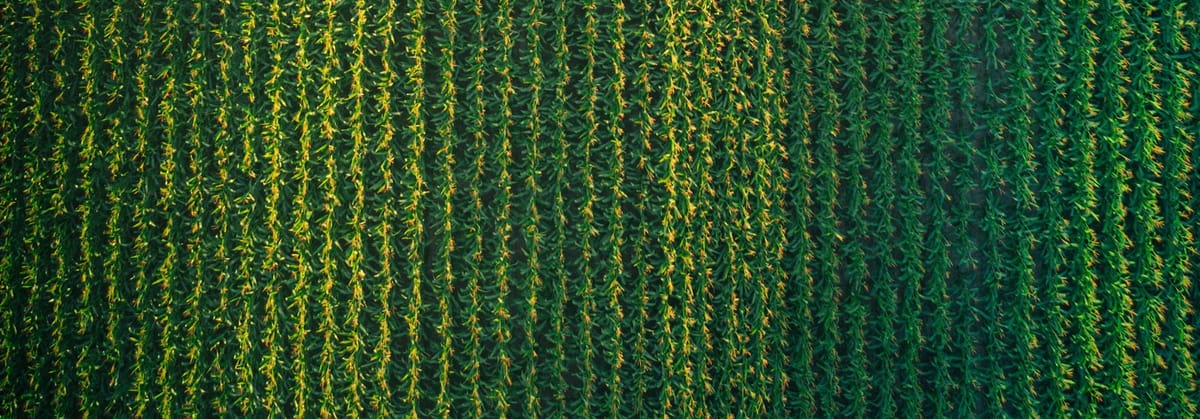 Durham Region Advises Caution on Roads During Harvest Season