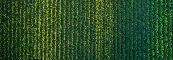 Durham Region Advises Caution on Roads During Harvest Season